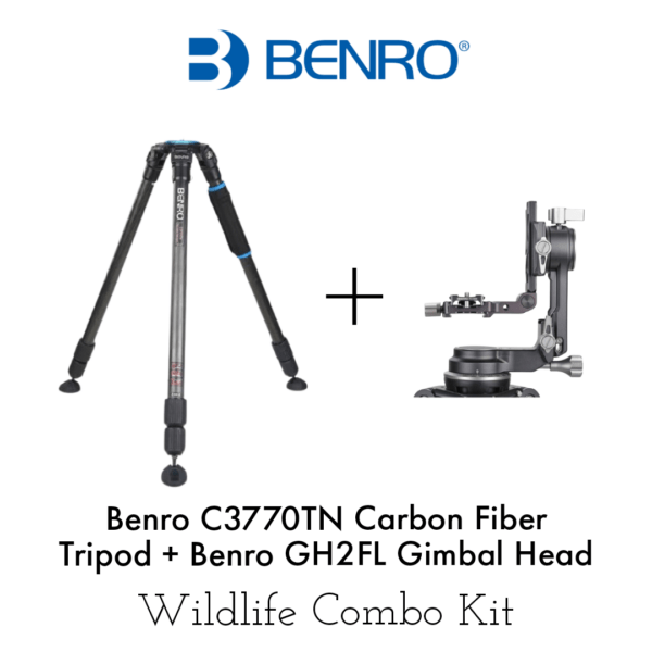 Benro C3770TN Carbon Fibre Tripod + Benro GH2FL Folding Gimbal Head