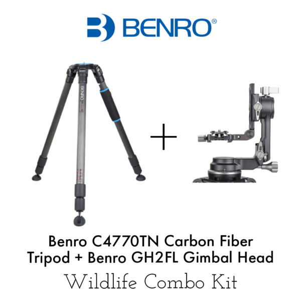 Benro C4770TN Carbon Fibre Tripod + Benro GH2FL Gimbal Head