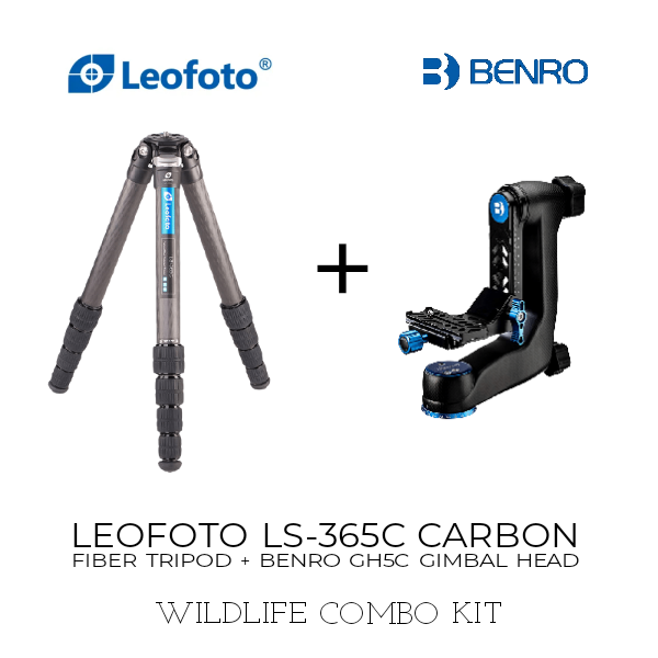 Leofoto LS-365C Carbon Fiber Tripod + Benro GH5C Gimbal Head – Gaffarbhai  and Sons