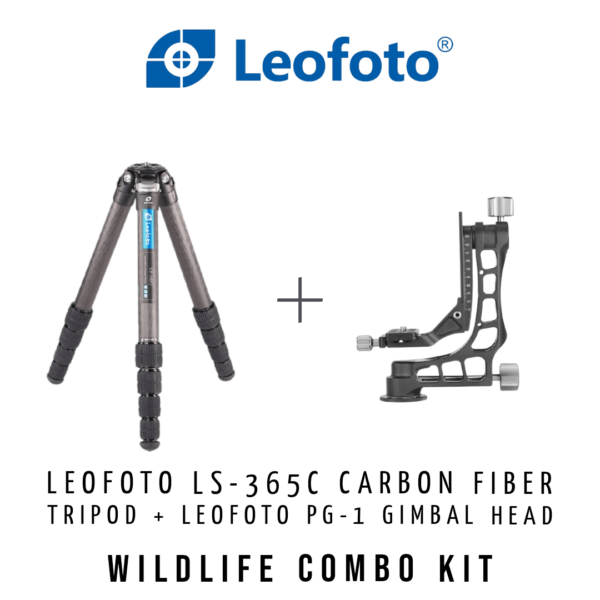 Leofoto LS-365C Compact Carbon Fiber Tripod + Leofoto PG-1 Gimbal Head (Black)