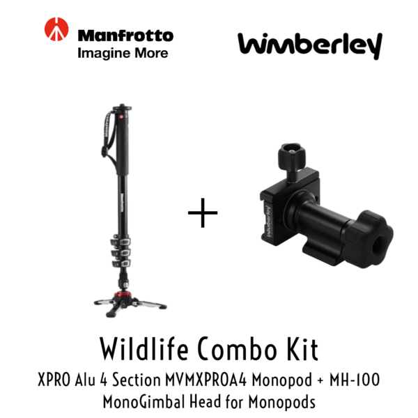 Manfrotto XPRO Alu 4 Section Monopod MVMXPROA4 + Wimberley MH-100 MonoGimbal Head