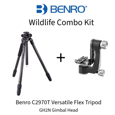 Benro C2970T Versatile Flex Tripod + Benro GH2N Gimbal Head