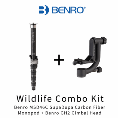 Benro MSD46C SupaDupa Carbon Fiber Monopod + Benro GH2 Gimbal Head