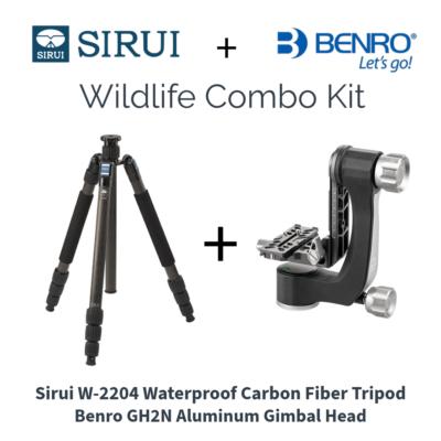 Sirui W-2204 Waterproof Carbon Fiber Tripod + Benro GH2N Aluminum Gimbal Head
