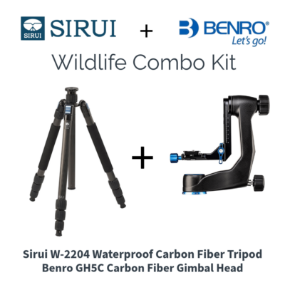 Sirui W-2204 Waterproof Carbon Fiber Tripod + Benro GH5C Carbon Fibre Gimbal Head