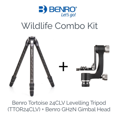 Benro Tortoise 24CLV Levelling Tripod (TTOR24CLV) + Benro GH2N Aluminum Gimbal Head